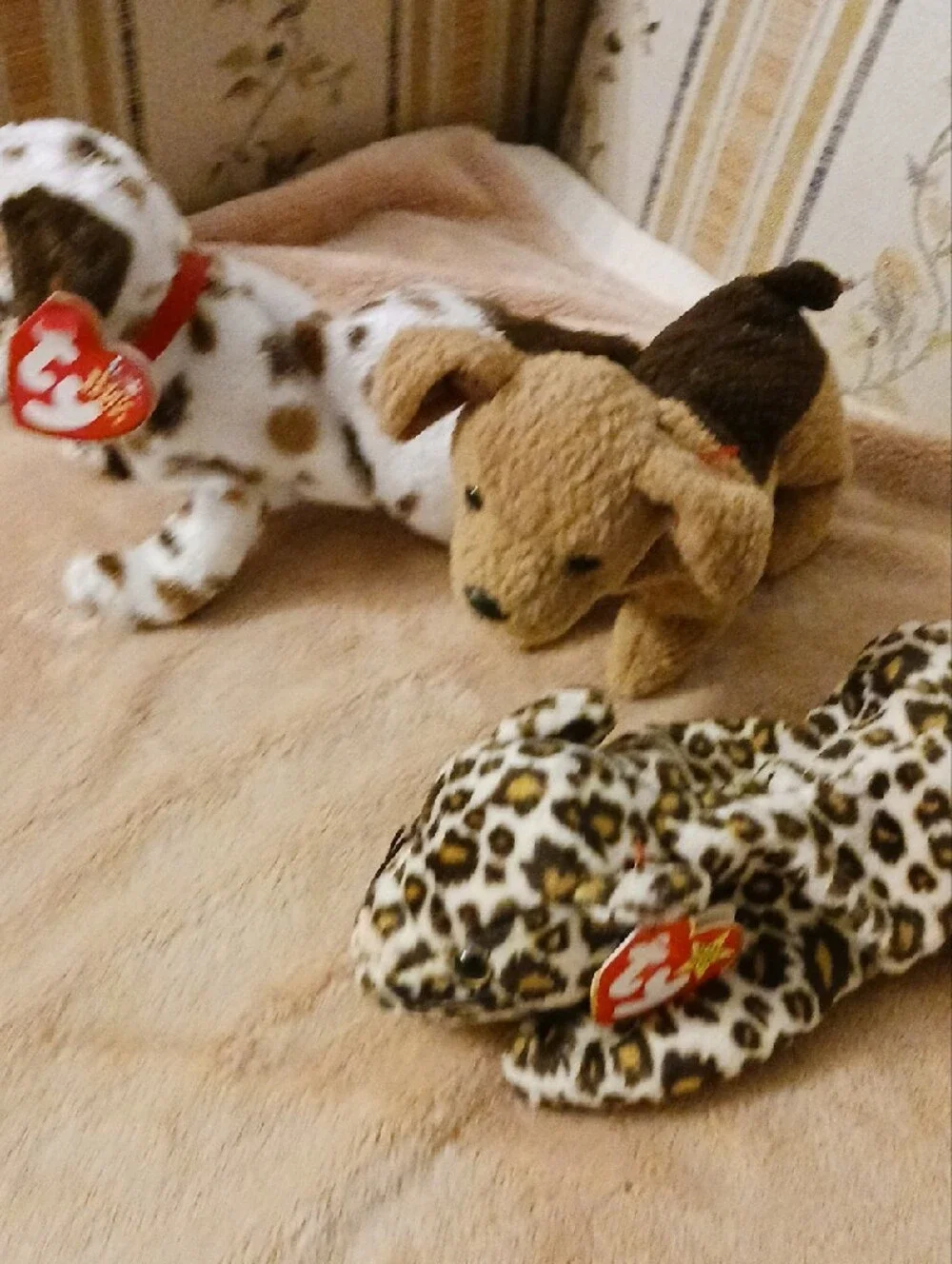Ty Plush Dog Trio - Brown, White with Brown Spots, Leopard Print
